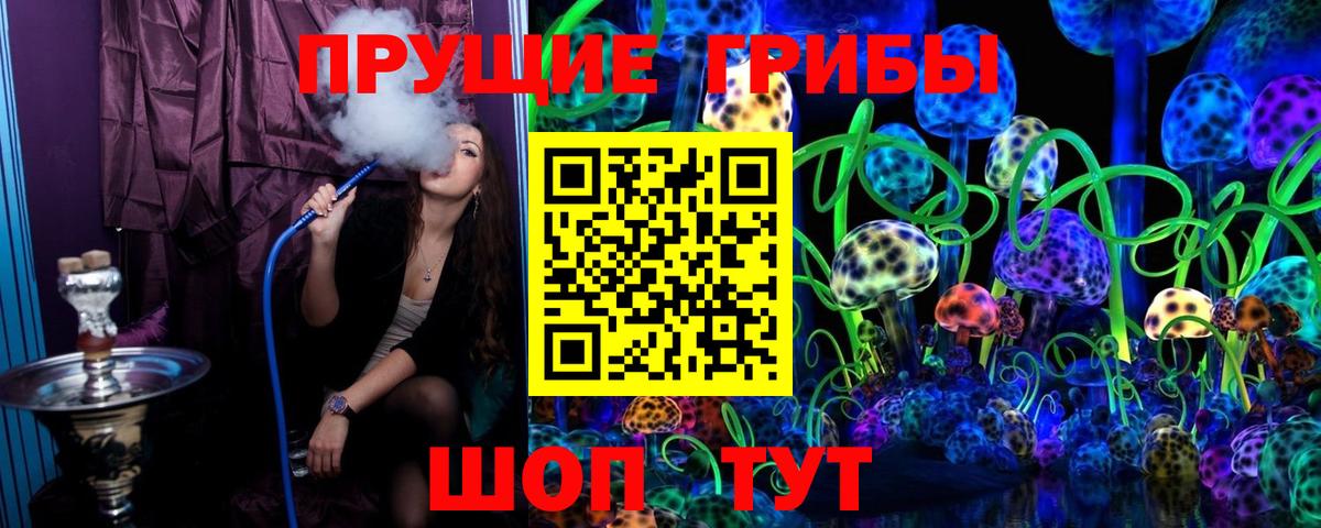 Галлюциногенные грибы MAGIC MUSHROOMS  Вход с VPN  где продают наркотики  Егорьевск  Псилоцибиновые грибы MAGIC MUSHROOMS 